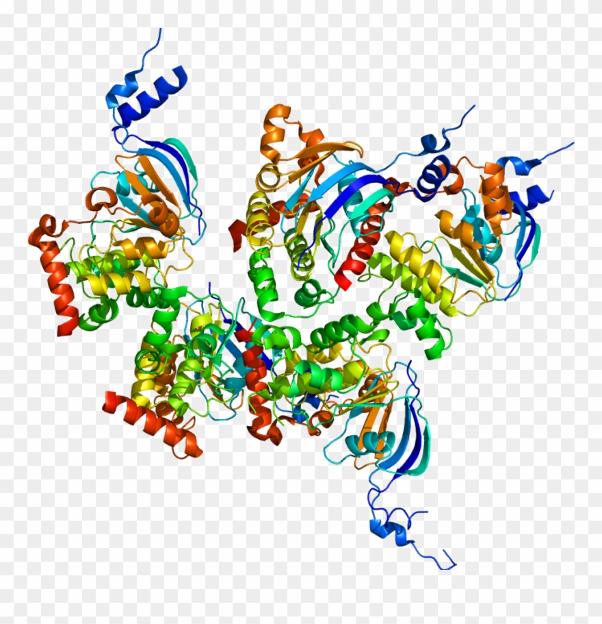 Cftr Protein Clipart