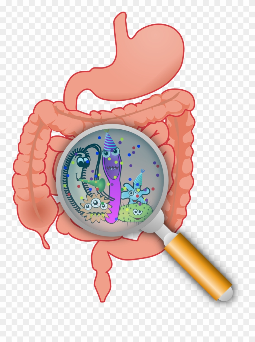 Family Jewels - Gut Microbiota Clipart