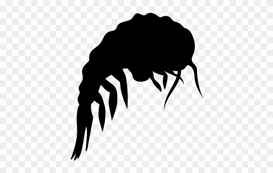 Unparalleled Quality - Plankton Icon Clipart