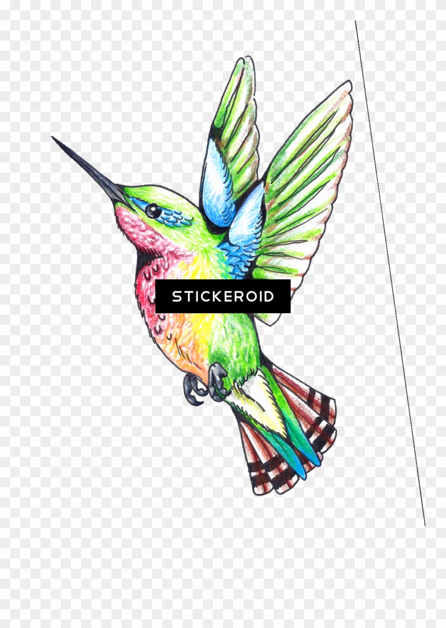 Hummingbird Tattoos - Hummingbird Clipart