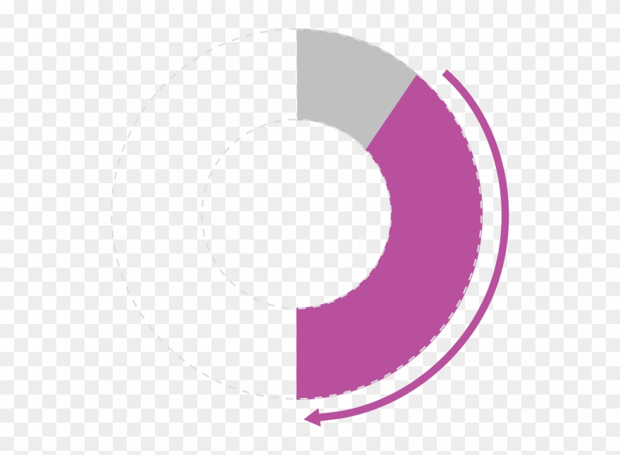 Casestudies Stadium Graph1 1 - Circle Clipart