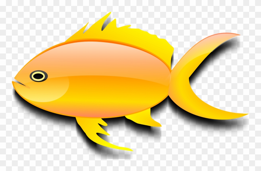 Free Pez Dorado - Gold Fish Clip Art - Png Download