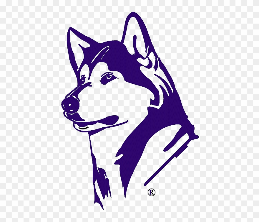 Agafonov Slava Digest About Software Next Stop Mba - Uw Husky Logo Clipart