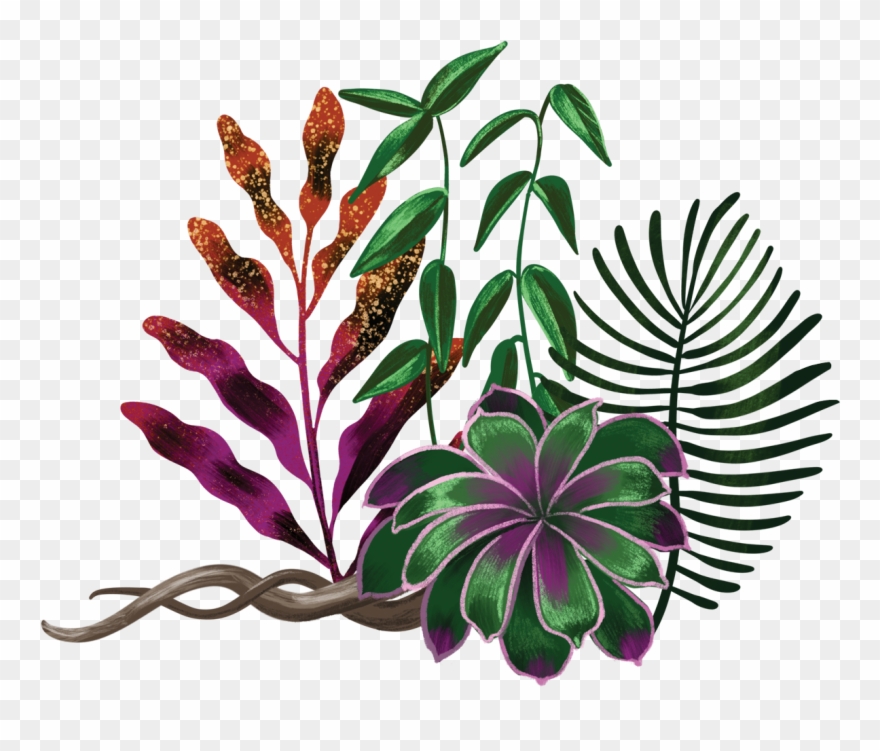 The Heart Of Whiteness Plant Illustration By Shyama - Plants Illustration Png Clipart