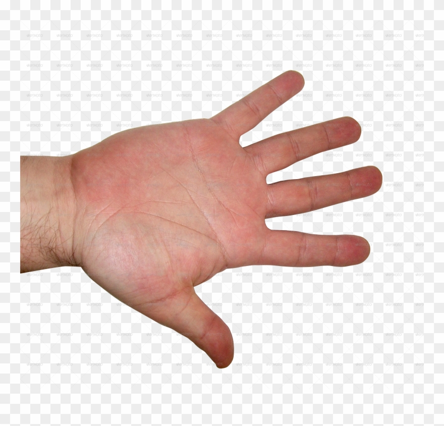 Human Textures By Chandank Docean - Human Hands Transparent Clipart