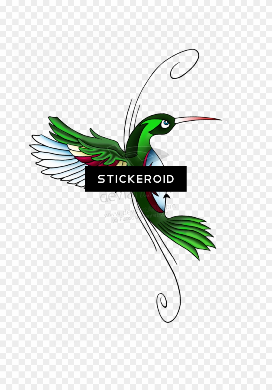 Hummingbird Tattoos - Hummingbird Tattoo Designs Clipart