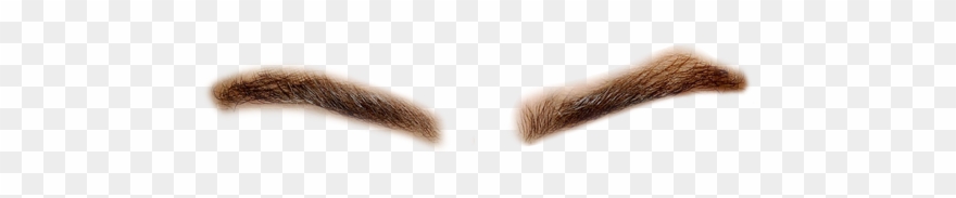 Jpg Transparent Stock Eyebrows Transparent Background - Eyebrows Transparent Clipart