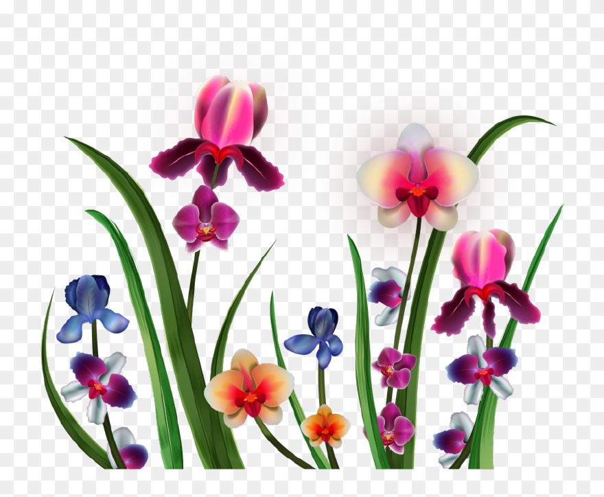 Png Клипарт "realistic Vector Delicate Orchids" - Orchids Clipart