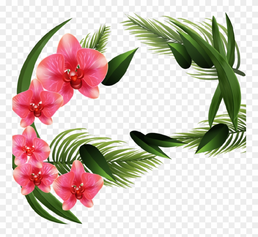 На Февраля 12, - Orquideas Png Vector Clipart