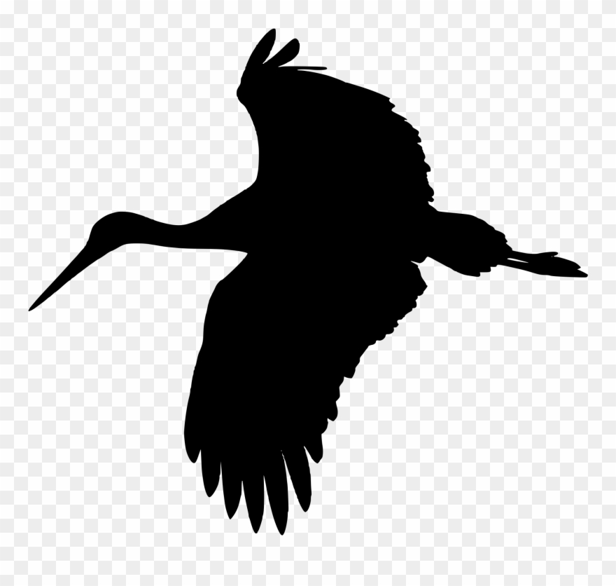 Stork Vector Svg - White Stork Silhouette Clipart