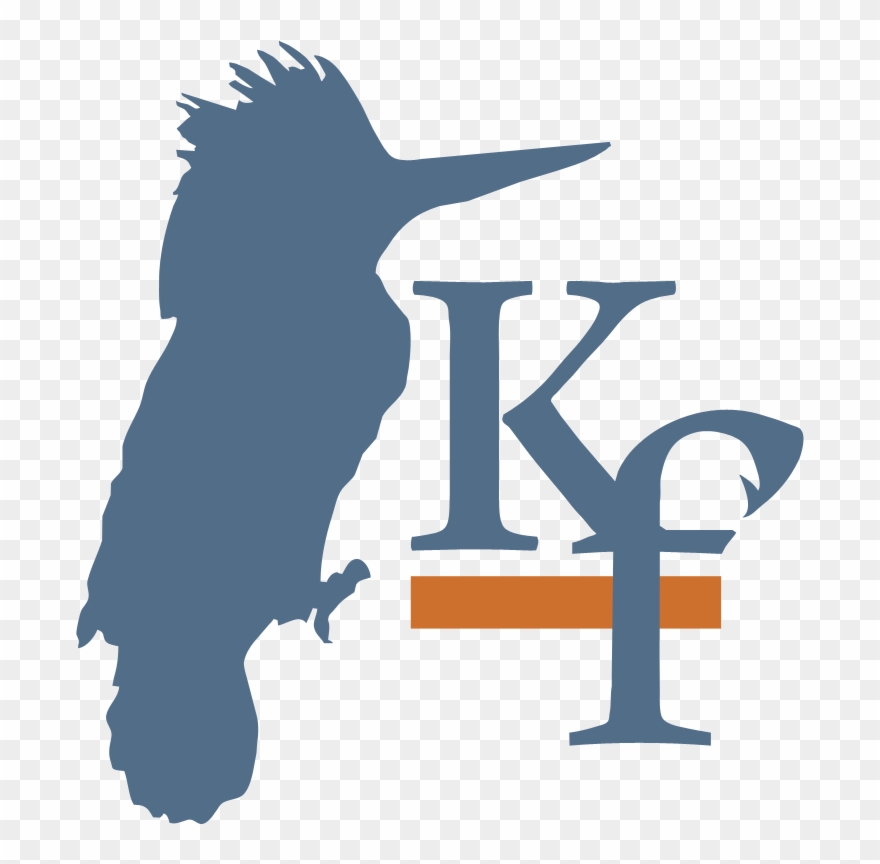 Kingfisher Concierge & Property Management - It's Going Tibia Okay Cover Clipart