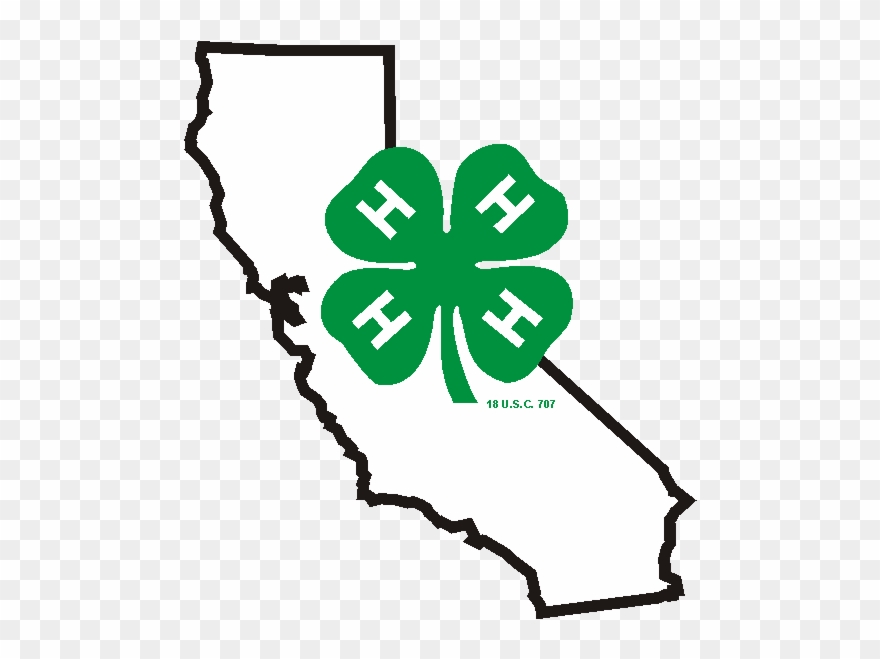 Clover Clover - 4 H Clover Clipart