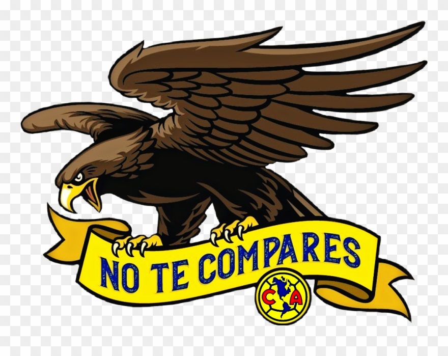 Report Abuse Clipart