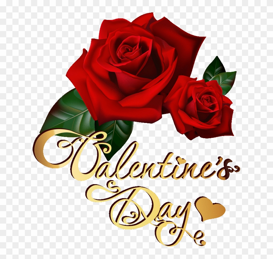 Happy Valentines Day And More Dreamies - Red Rose Animation Clipart