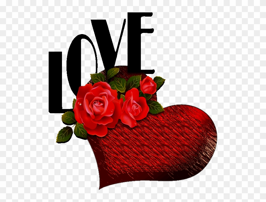 To My Dear Joe♡♡♡, Love You♡ - Red Rose Flowers Of Love Clipart