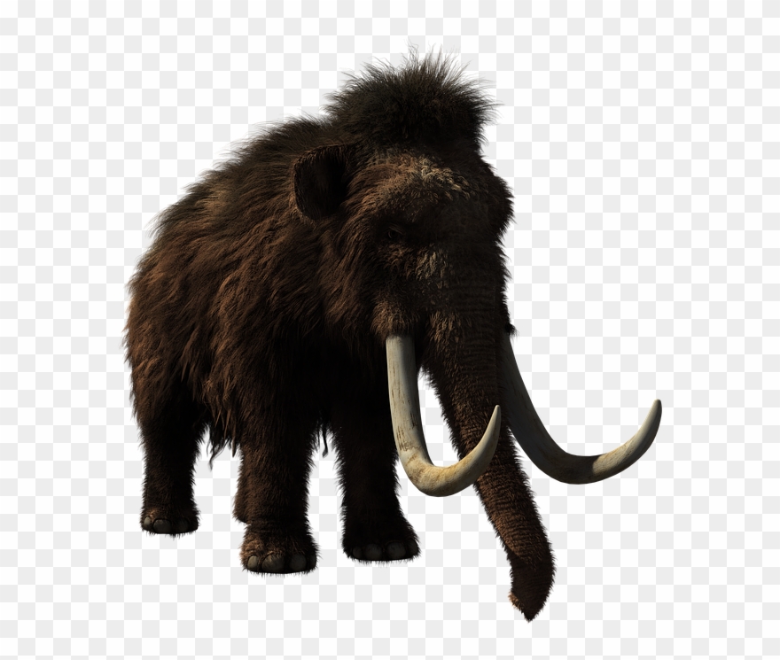 Woolly Mammoth, Animal, Prehistoric, Wildlife, 3d - Extinct Woolly Mammoth Clipart