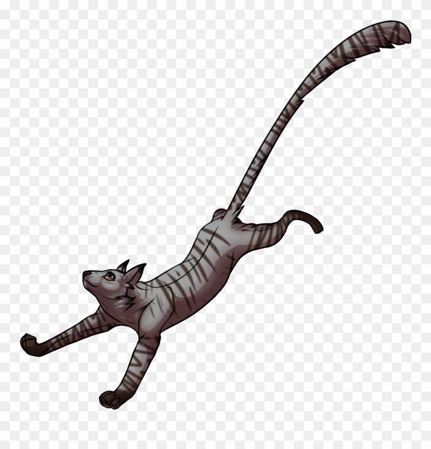 Cat Clipart