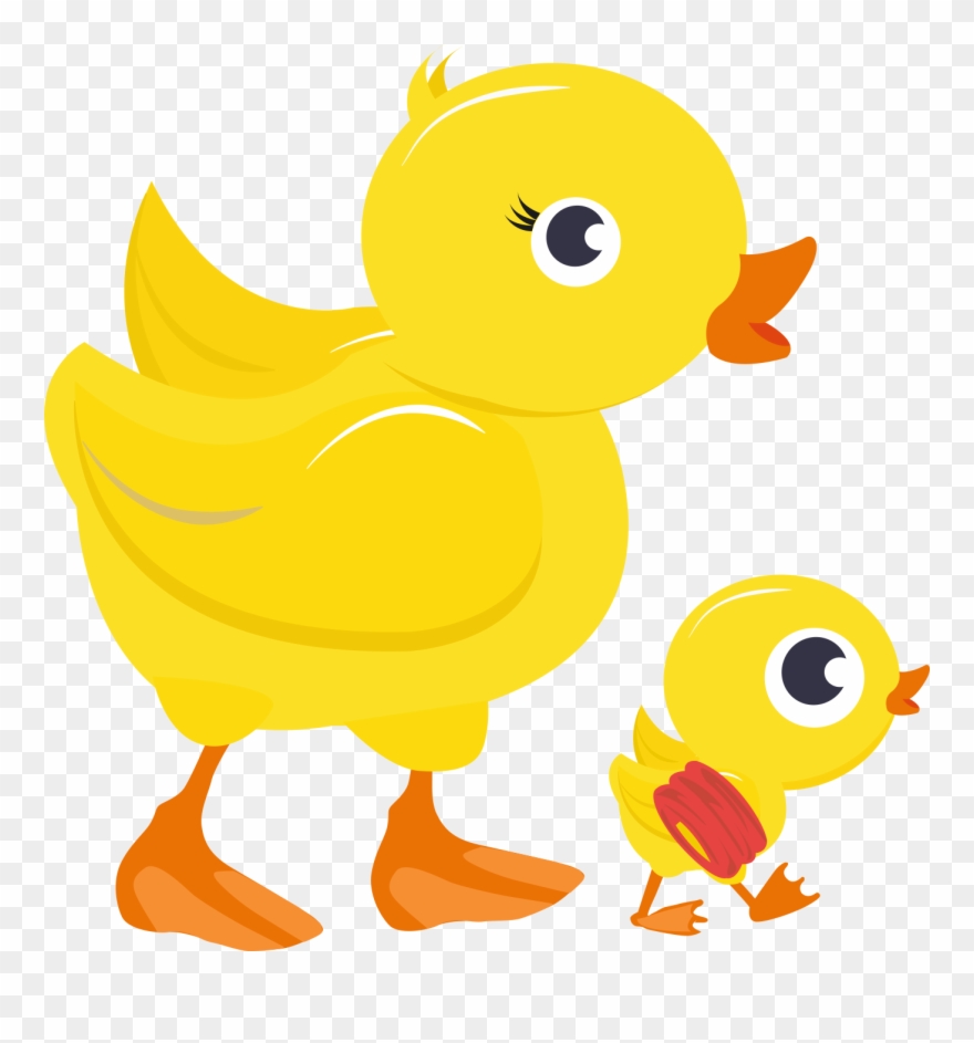 Discovery Ducklings Parent Baby O 3 Years - School Clipart