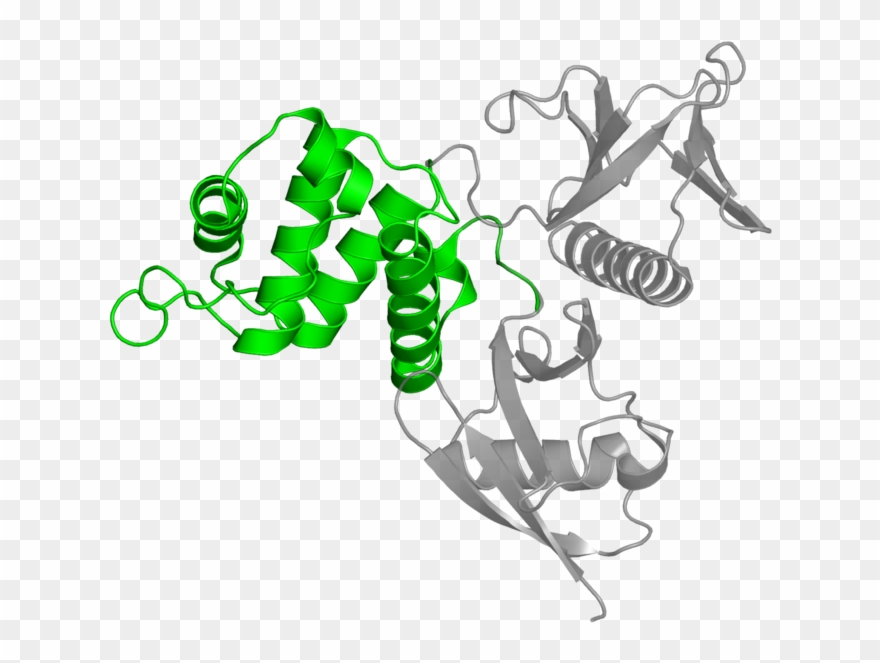 <div Class='caption-body'>1 Copy Of Cath Domain - Illustration Clipart