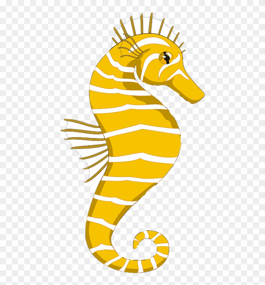 Seahorse Clipart Gif - Png Download