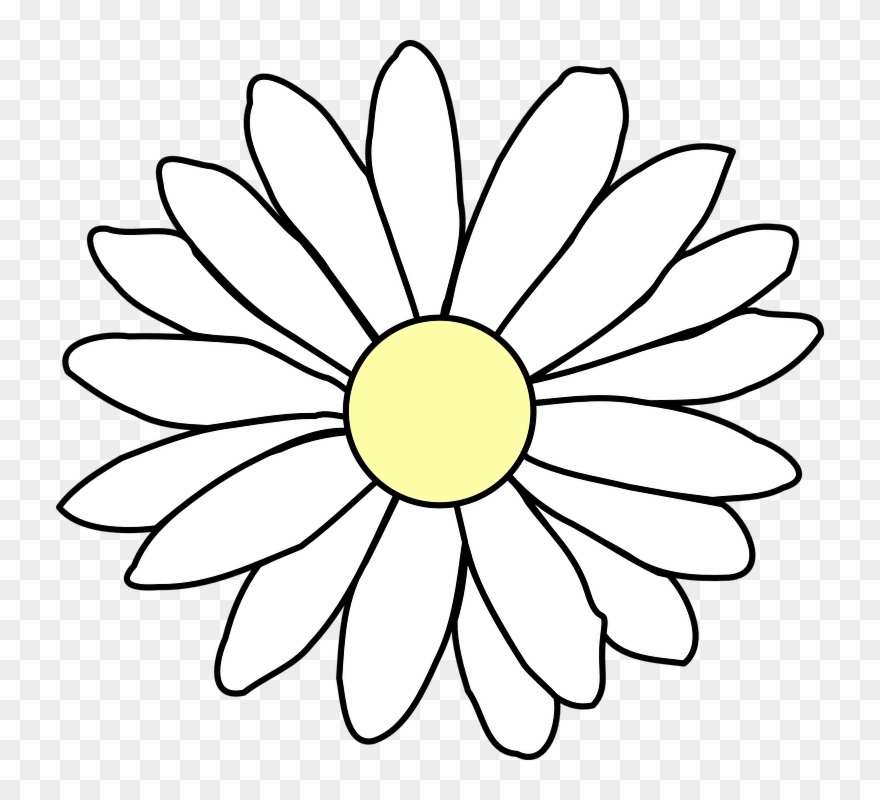 White Flower Clipart 15, Buy Clip Art - Flor Margarida Desenho Png Transparent Png