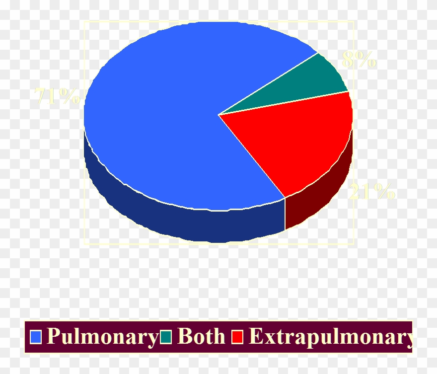 Tuberculosis 2002sites Of Disease - Circle Clipart