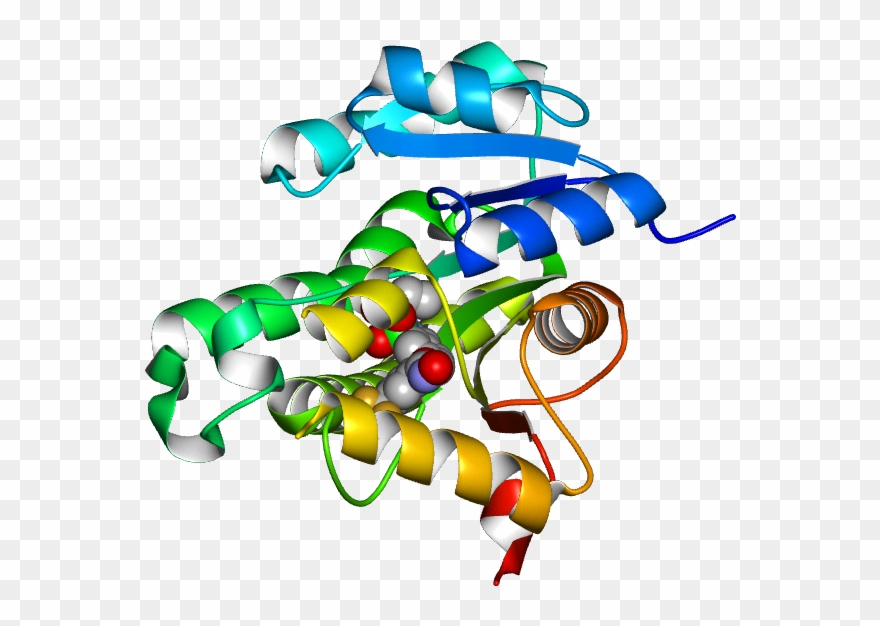 Molmil Generated Image Of 5w07 - Graphic Design Clipart