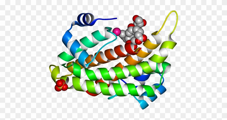 Database Information - Illustration Clipart