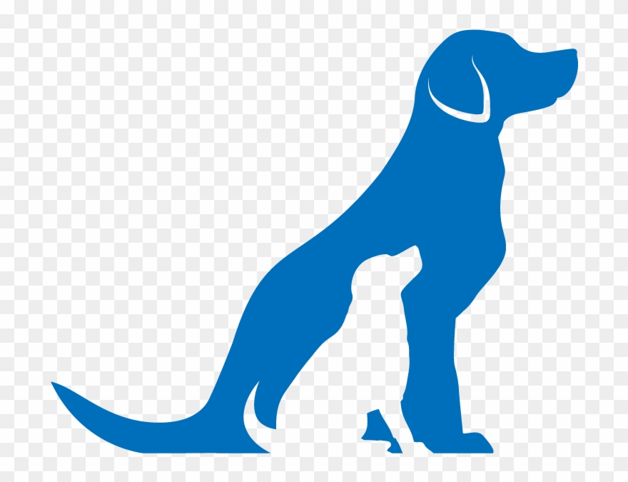 Portable Network Graphics Clipart