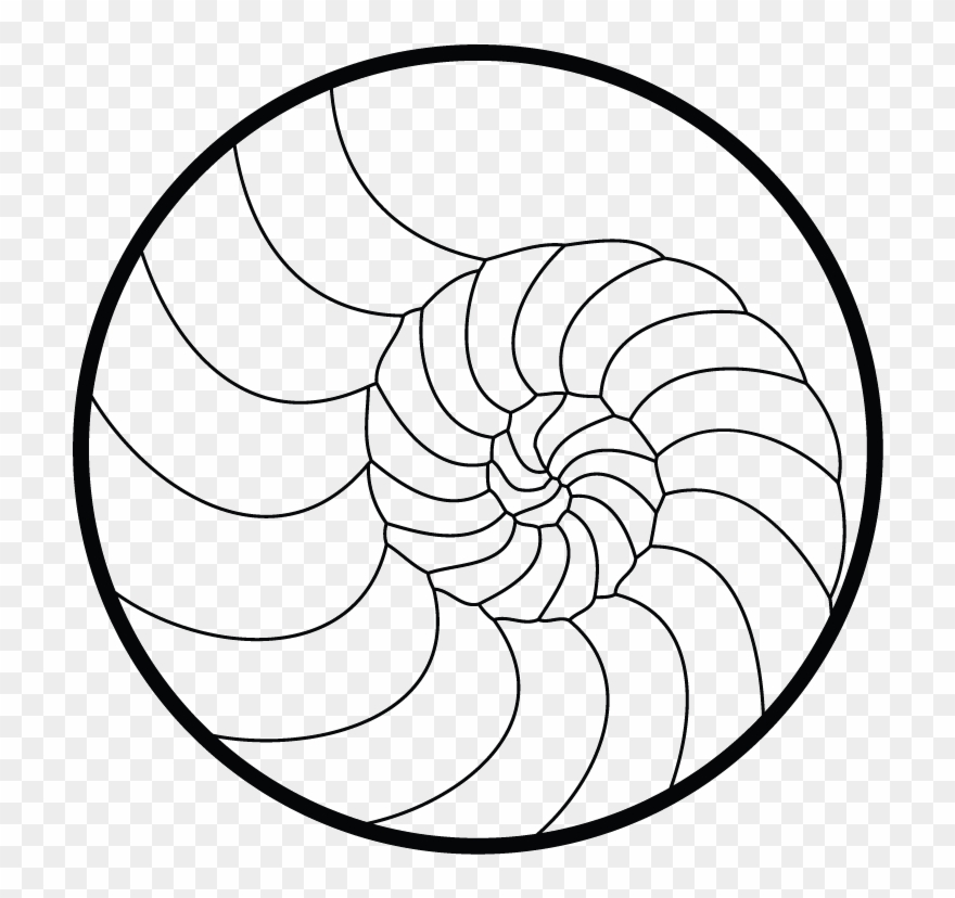 Printable Stained Glass Dove Patterns Sketch Coloring - Golden Ratio Clipart