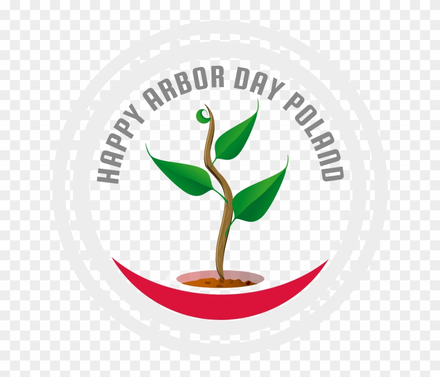 Wish Clipart Free For Download - Clip Art - Png Download