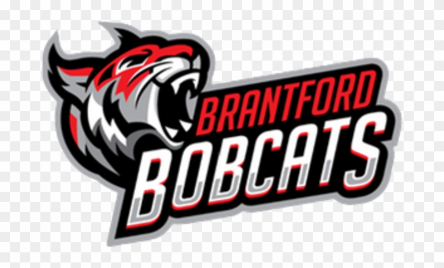 For More Information Please Contact Chris Meyer At - Bowling Green State University Clipart