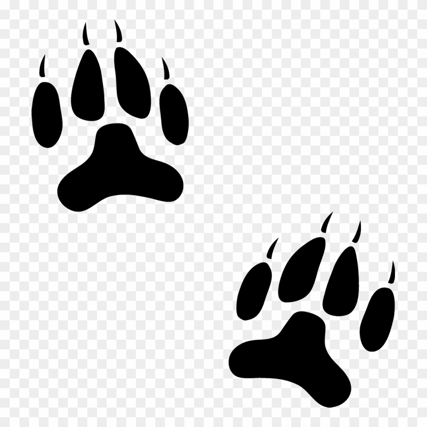 Clipart Footprint - Paw - Png Download