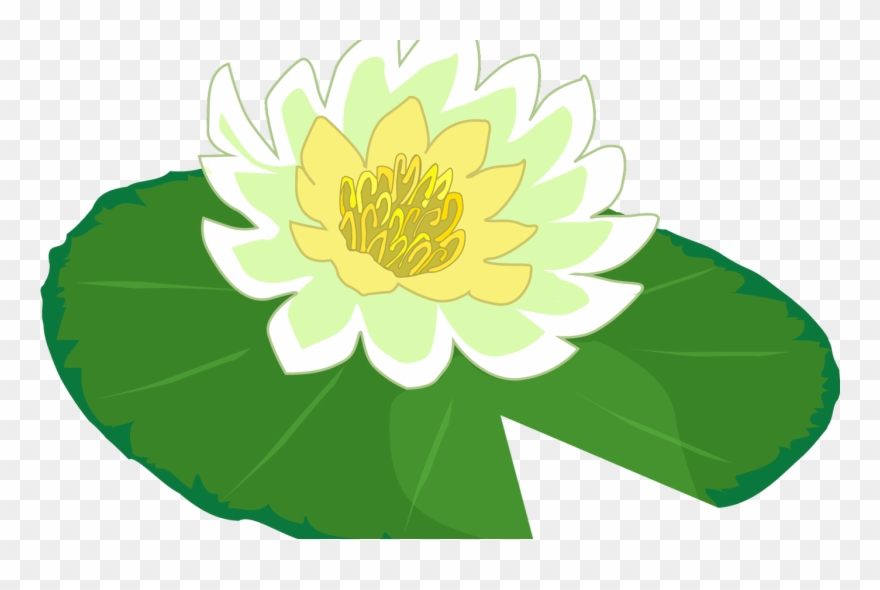 White Flower Water Lily Clipart The Cliparts Png Clipartix - Lily Pad Clipart Png Transparent Png