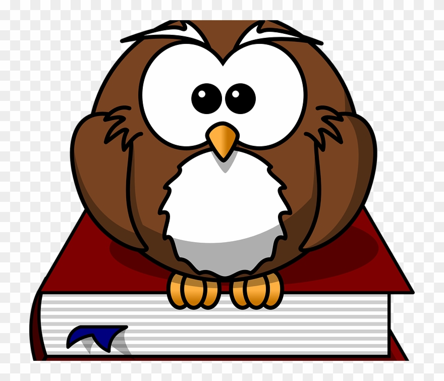 Functional Skills Exam Dates - Owl With Tablet Shower Curtain Clipart