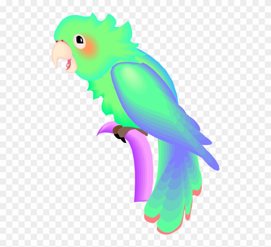 Parrot Clipart