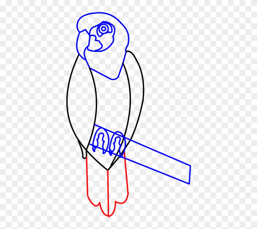Step7 Parrot Cartoon Feet - Simatic Step 7 Clipart