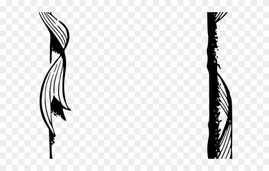 Beautiful Borders And Frames For Projects Black And - Eternal Security And Bible Meditations Of Jesus [book] Clipart