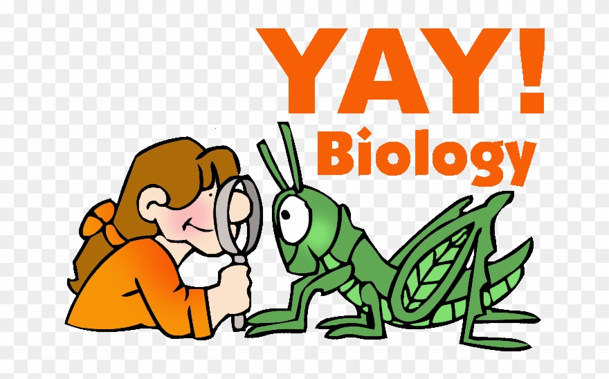 Biology Mitosis Aa Classroom Clip Art Library - Animal Science Clip Art - Png Download