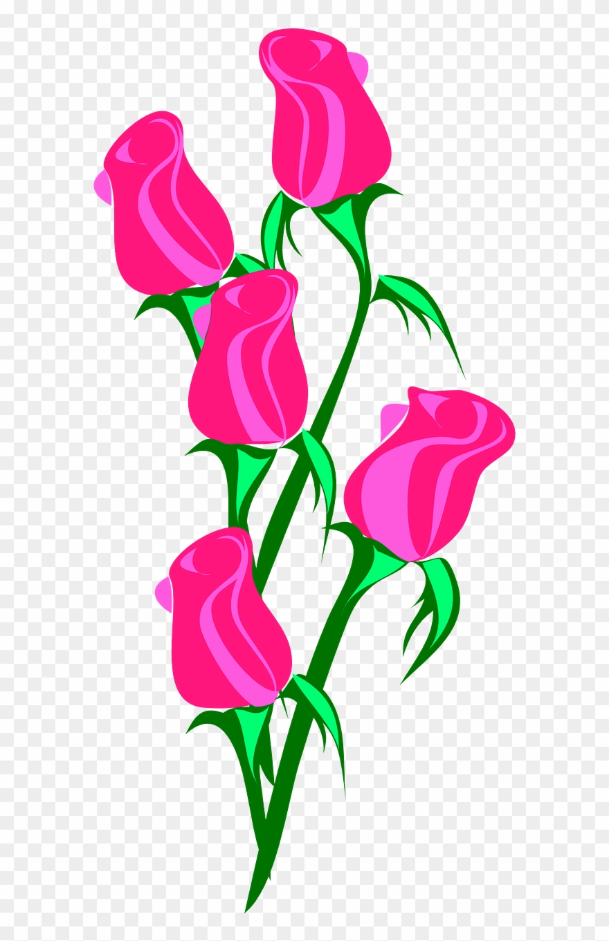 Rose Bunch Pink Closed Love Png Image - Roses Clip Art Transparent Png