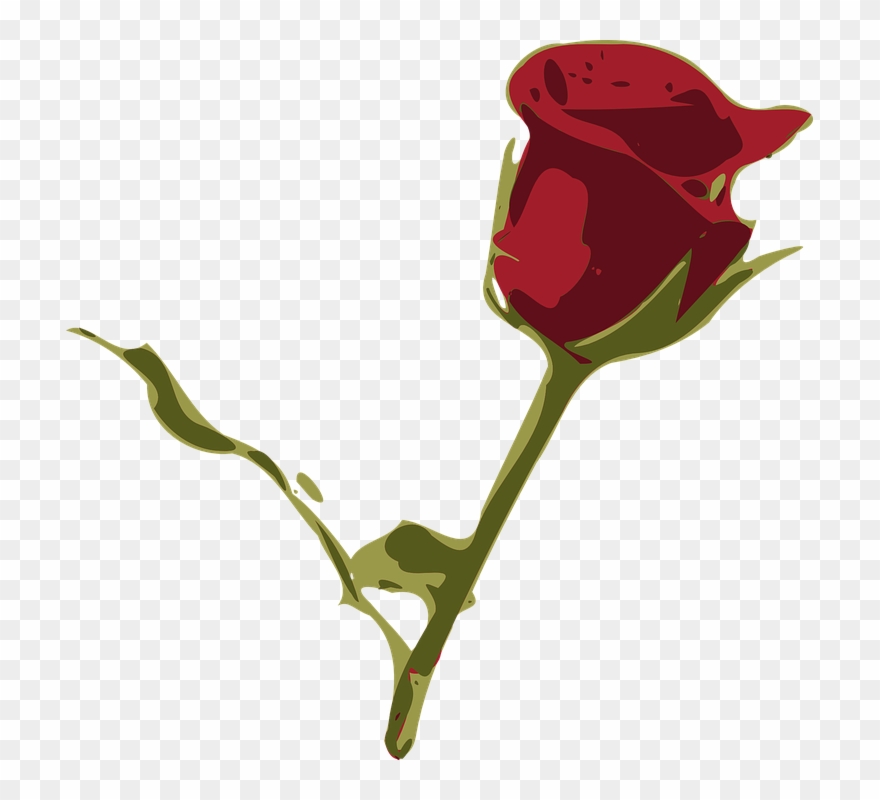 Rosa Flower Cliparts 24, Buy Clip Art - Flores Desenho Rosa Vermelha - Png Download