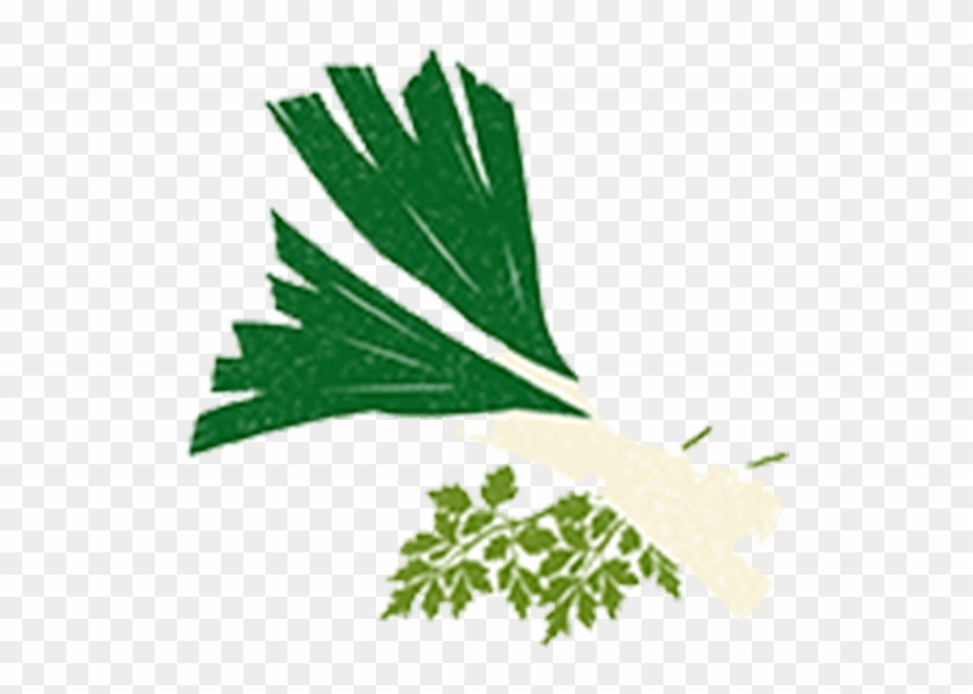 Chicken - Leek - Leek Clipart