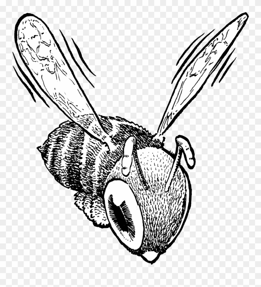 Clip Art Black And White Stock Autism Drawing Book - David Nytra - Png Download