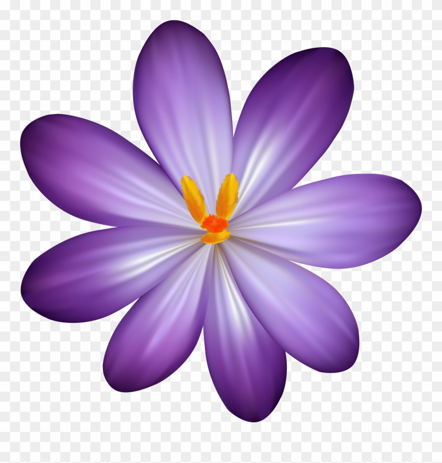 Purple Hawaiian Flower Clipart, 93 Purple Hawaiian - Png Download