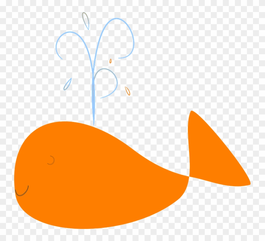 Collection Of Orange Splat Cliparts - Orange Whale - Png Download