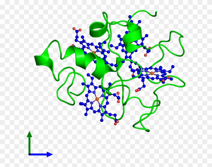 <div Class='caption-body'><ul Class ='image Legend - Graphic Design Clipart