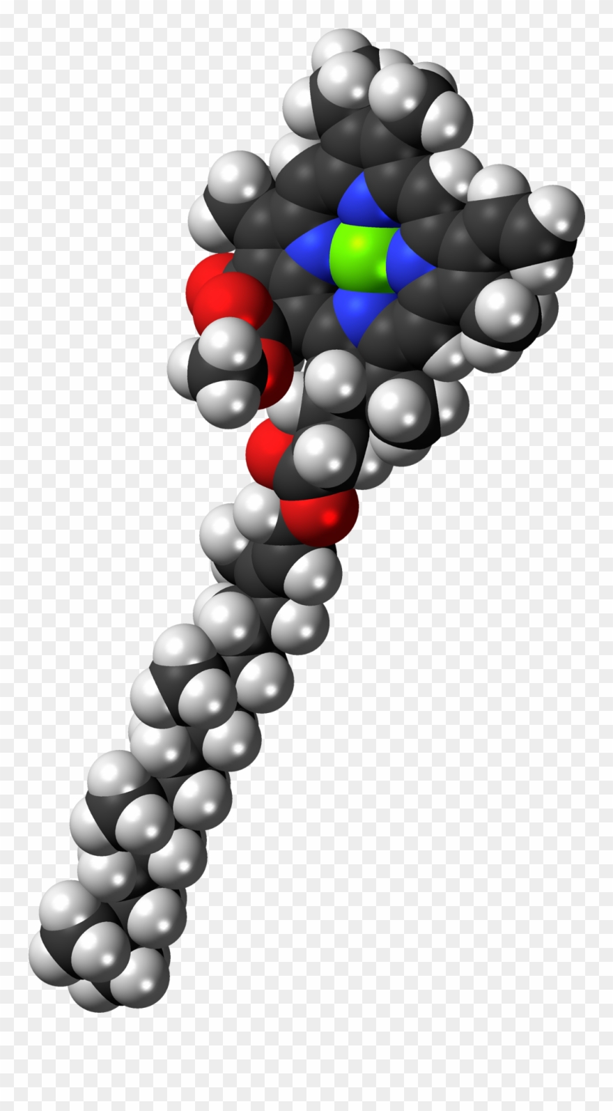 25 Nov 2015 - Chlorophyll Space Filling Clipart