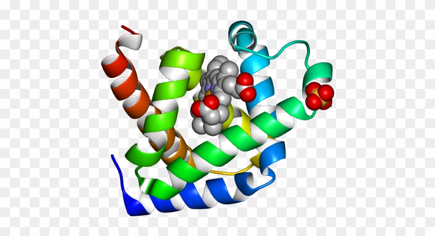 No Rotation Molmil Generated Image Of 1ymb - Ten-pin Bowling Clipart