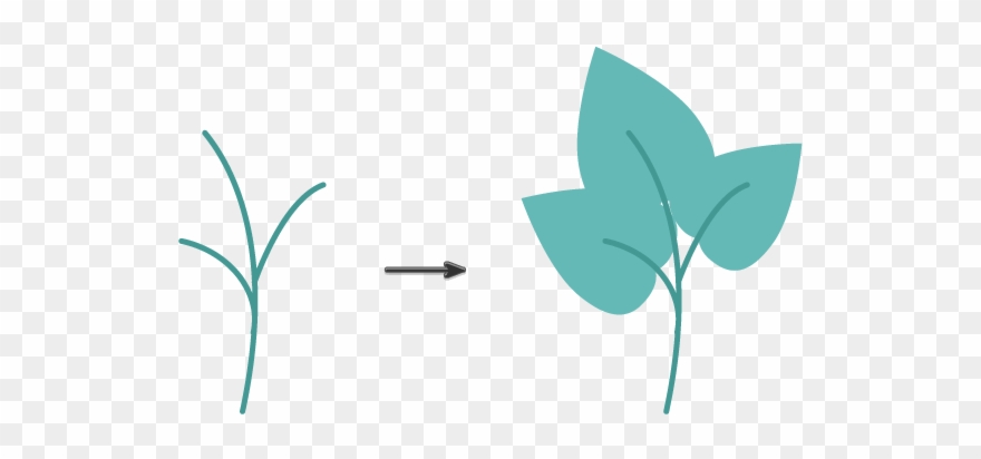 Creating The Leaf Clipart
