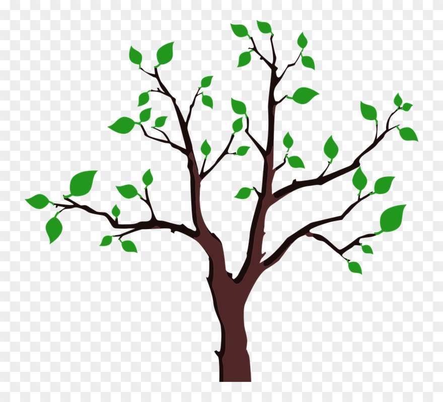 Cartoon Trees With Branches 15, Buy Clip Art - Save The Trees Sticker - Png Download